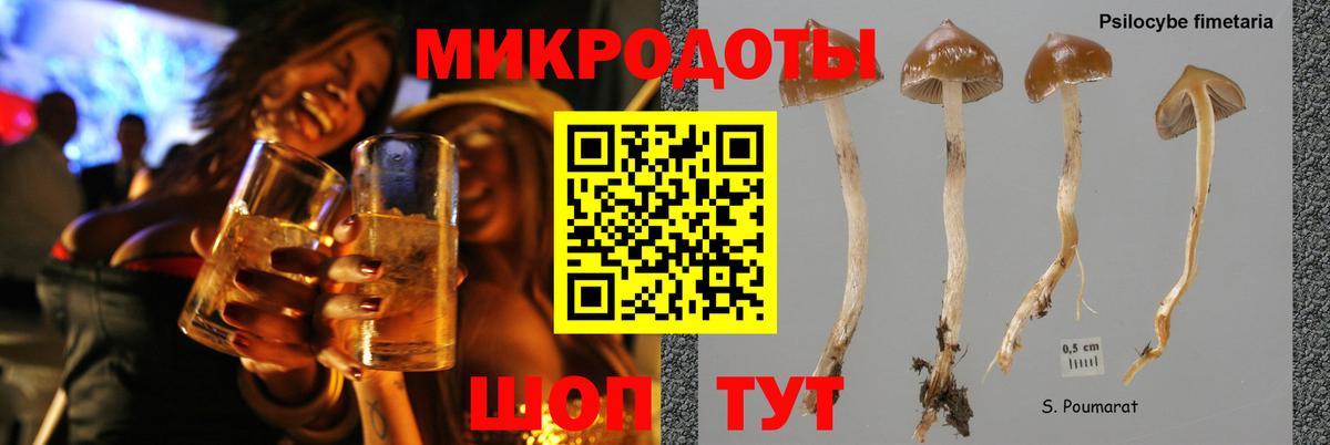 Псилоцибиновые грибы GOLDEN TEACHER Ноябрьск
