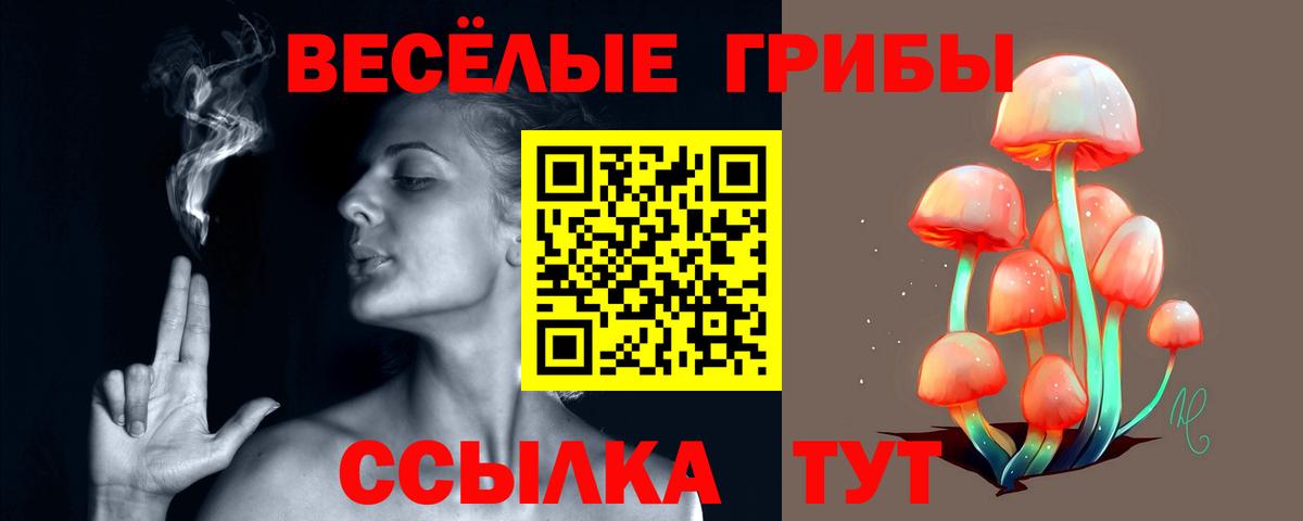 Галлюциногенные грибы GOLDEN TEACHER  Вход с VPN  Ноябрьск 